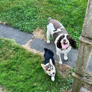 Meet your Posher, Mary